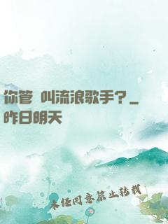 你管這叫流浪歌手？