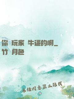 你這玩家夠牛逼的啊