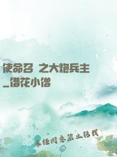 使命召喚之大炮兵主義