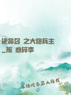 使命召喚之大炮兵主義
