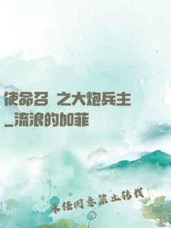 使命召喚之大炮兵主義