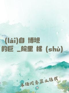 來(lái)自賽博坦的巨龍
