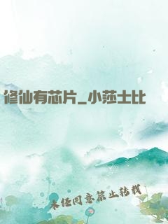 修仙有芯片