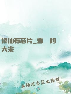 修仙有芯片