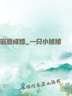 假意成婚