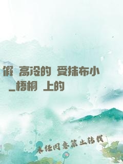 假裝高冷的騷受抹布小說
