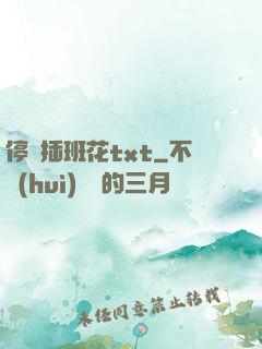 停電插班花txt