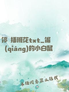 停電插班花txt