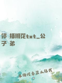 停電插班花txt