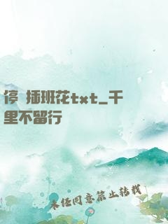 停電插班花txt