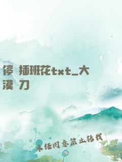 停電插班花txt