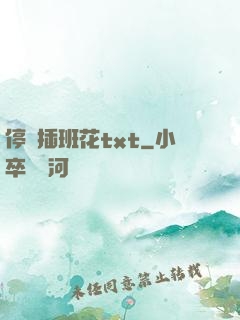 停電插班花txt
