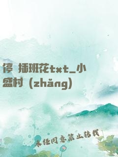 停電插班花txt