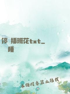 停電插班花txt