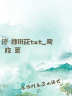 停電插班花txt