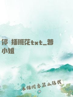 停電插班花txt