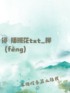 停電插班花txt