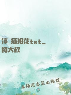 停電插班花txt
