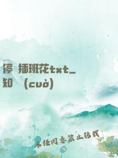 停電插班花txt