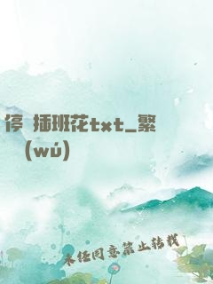 停電插班花txt