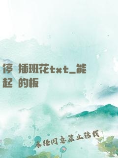 停電插班花txt