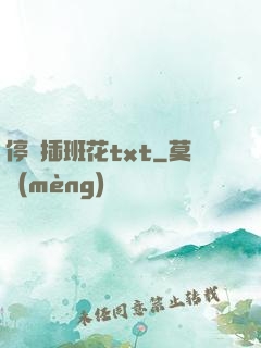停電插班花txt