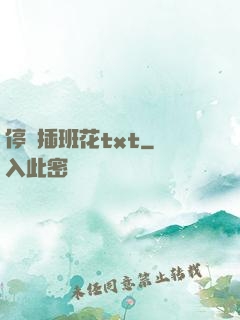 停電插班花txt