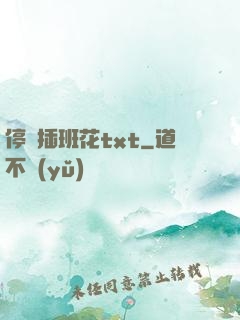 停電插班花txt