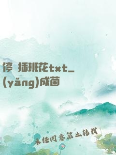 停電插班花txt