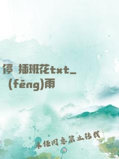 停電插班花txt