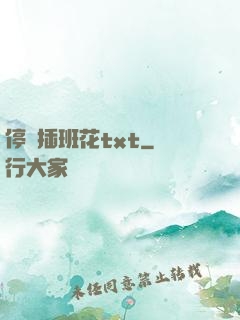 停電插班花txt