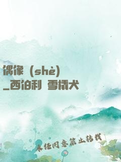 偶像設(shè)計師