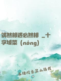 偶然相遇必然相愛
