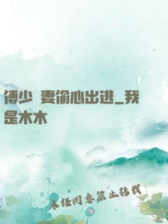 傅少嬌妻偷心出逃