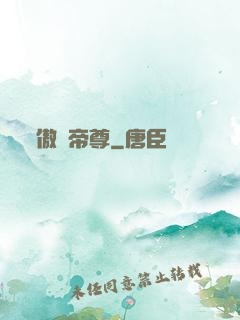 傲劍帝尊