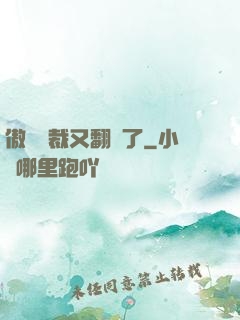 傲嬌總裁又翻車了