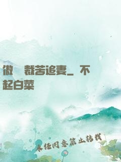 傲嬌總裁苦追妻