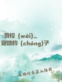 傳奇控衛(wèi)
