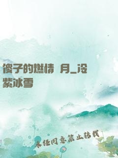 傻子的燃情歲月