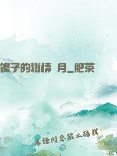 傻子的燃情歲月