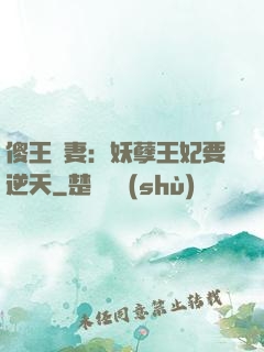 傻王寵妻：妖孽王妃要逆天