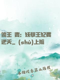 傻王寵妻：妖孽王妃要逆天