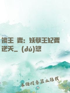 傻王寵妻：妖孽王妃要逆天