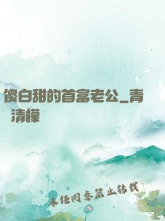 傻白甜的首富老公