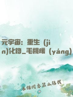 元宇宙：重生進(jìn)化路