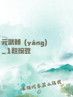 元武朝陽(yáng)