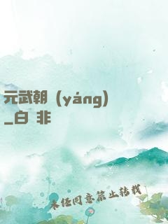 元武朝陽(yáng)