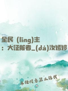 全民領(lǐng)主：大征服者