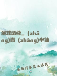 全球武尊