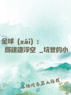 全球災(zāi)變：開局建造浮空島